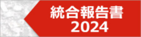 統合報告書
