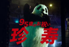 珍獣ラップ篇シリーズ