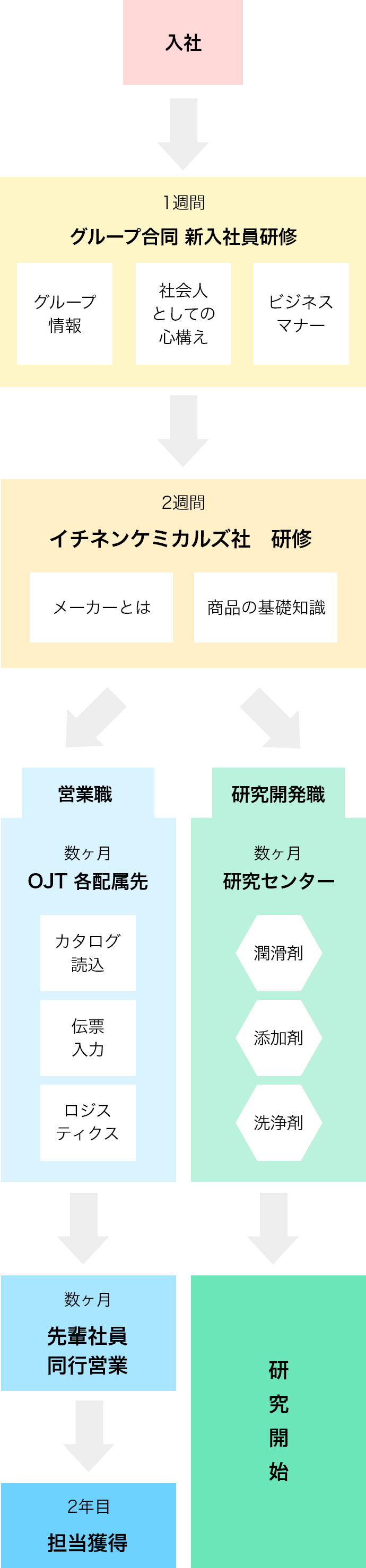 入社後の流れ