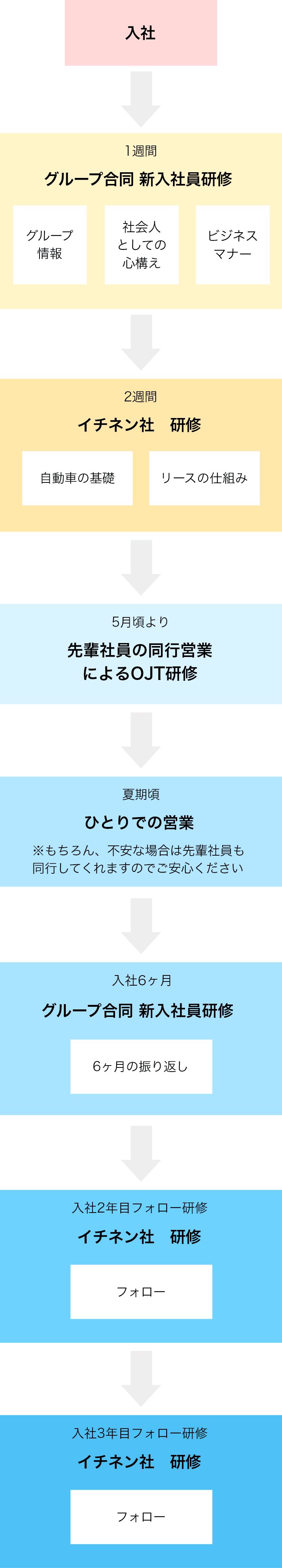 入社後の流れ