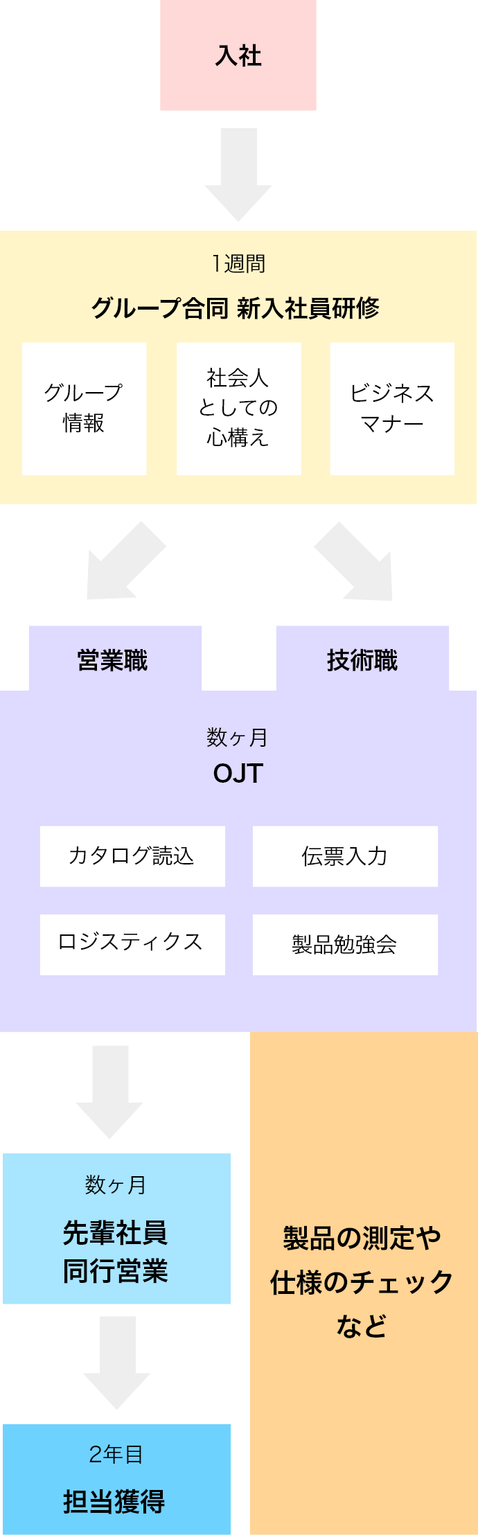 入社後の流れ