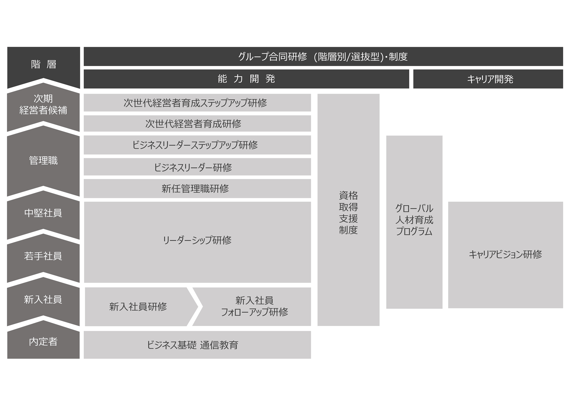 研修階層図